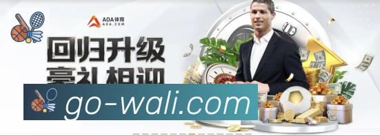 未来规划