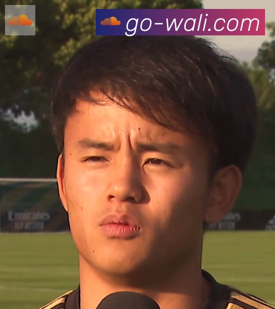 维尼修斯